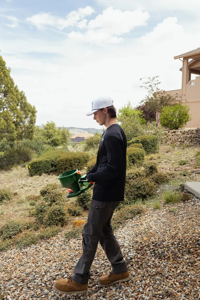 Fall Pest Prevention Tips For Arizona Homeowners