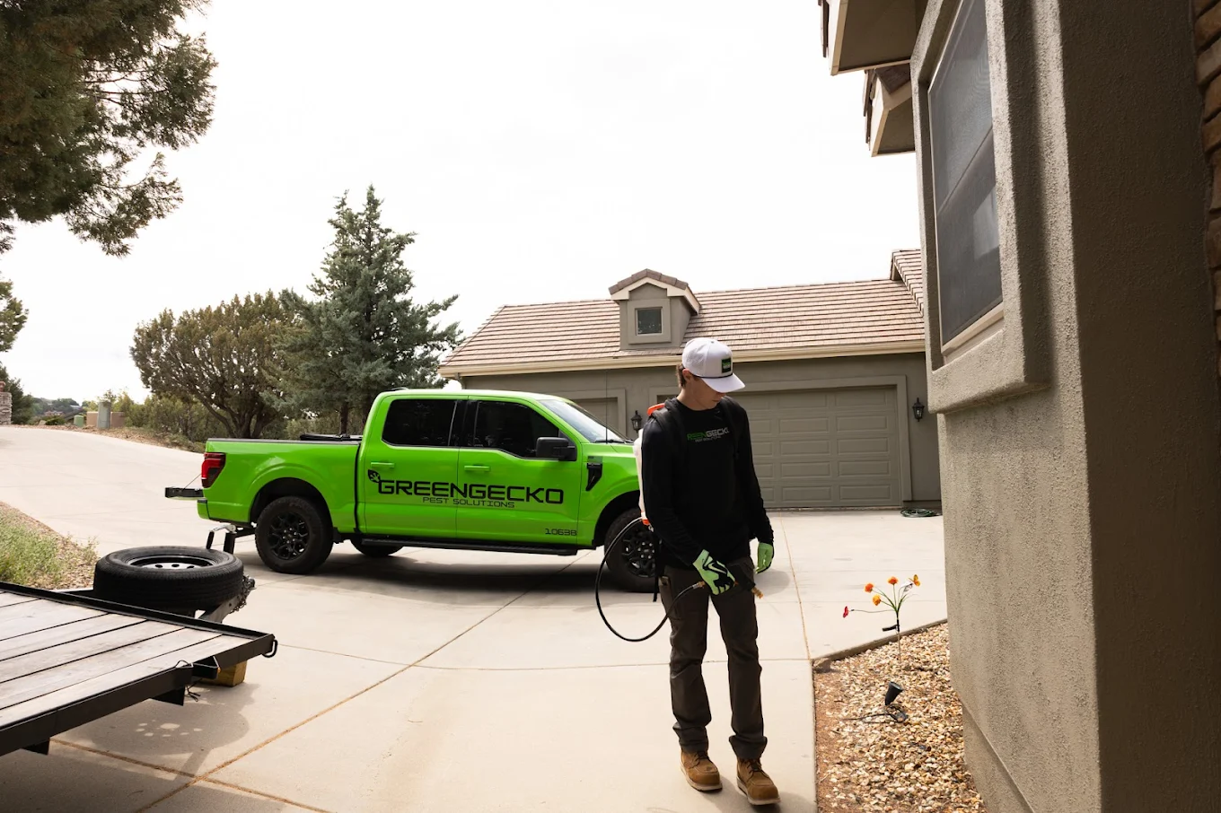 Why Professional Pest Control Delivers Better Results