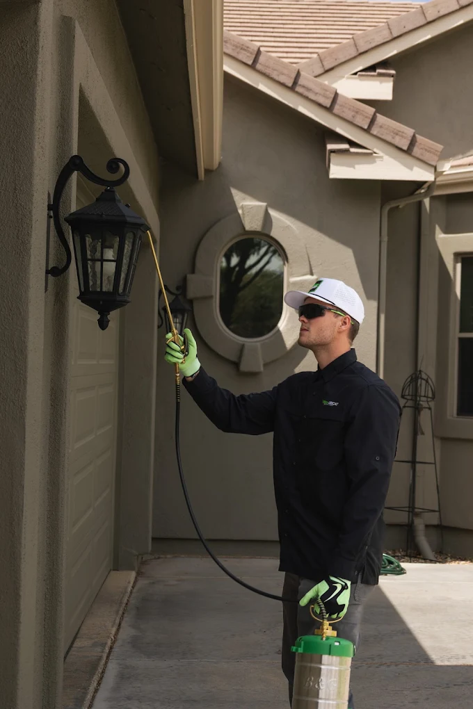 How Seasonal Changes Trigger Pest Activity Indoors